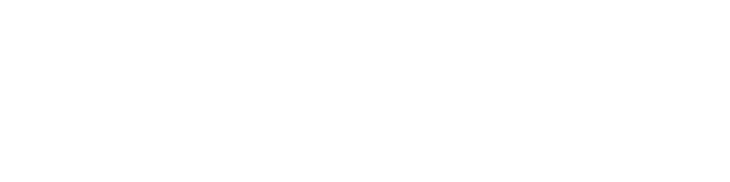 Institute of Computer Science